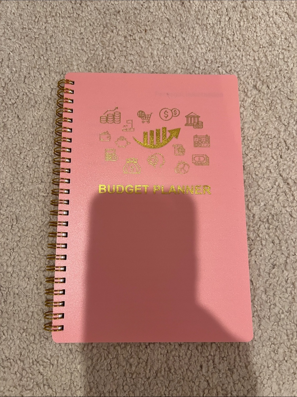 Pink Budget Planner with Gold Accents
